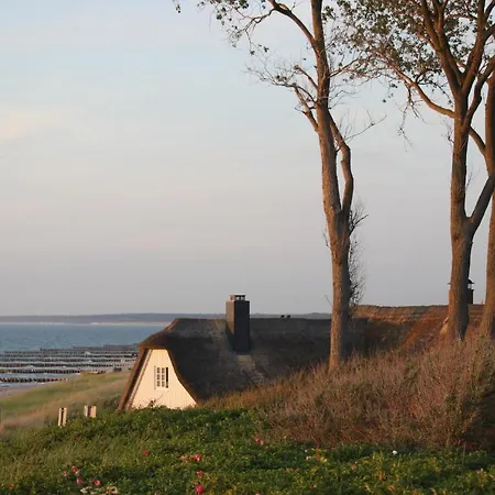 公寓 Dardel Hus 博恩
