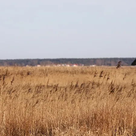 Appartement Dardel Hus Born