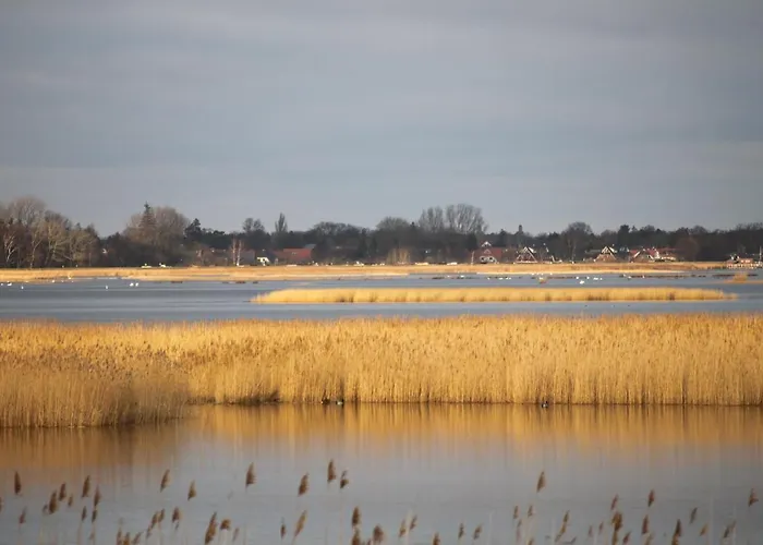 公寓 Dardel Hus 博恩