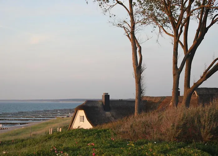 公寓 Dardel Hus 博恩