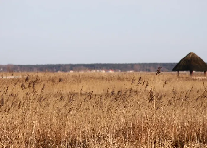 公寓 Dardel Hus 博恩